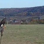 Herztor